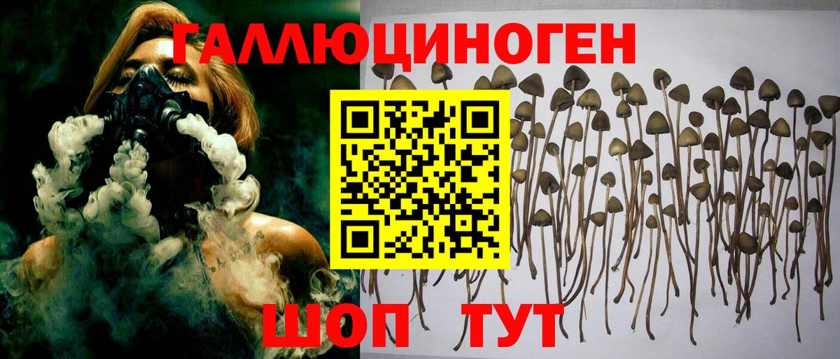 Галлюциногенные грибы прущие грибы Дербент